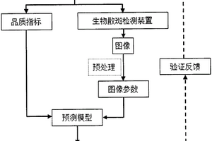 基于生物散斑技術(shù)無損檢測蘋果內(nèi)部品質(zhì)的方法