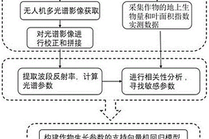 基于無人機多光譜遙感影像的作物生長參數(shù)測定方法及系統(tǒng)