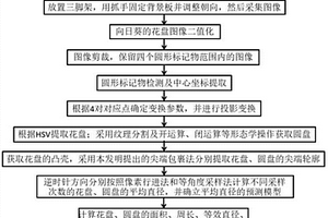 向日葵花盤(pán)尺寸測(cè)量方法