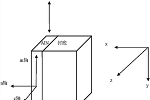 應用拉曼光譜儀測試纖鋅礦結(jié)構(gòu)單晶晶向的方法及系統(tǒng)