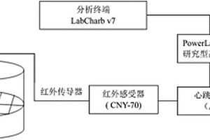 利用心跳作為海灣扇貝親貝選育指標(biāo)的方法