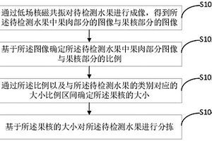 基于果核大小進行分揀的方法、裝置、終端及存儲介質