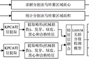 基于多特征融合的馬鈴薯高速無損分級檢測方法及系統(tǒng)