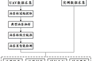 基于無(wú)人機(jī)遙感的大面積油茶林快速估產(chǎn)方法