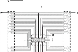 基于數(shù)字微流控技術(shù)的全自動(dòng)單顆粒/單細(xì)胞捕獲芯片及其應(yīng)用