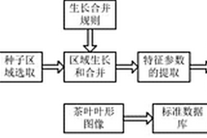 結(jié)合圖像和計算模型的茶葉嫩芽形態(tài)的三維重建方法