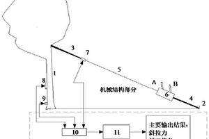 樹木抓地力的無損檢測裝置與檢測方法