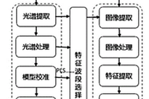 基于高光譜轉(zhuǎn)基因玉米籽粒的識別裝置與方法