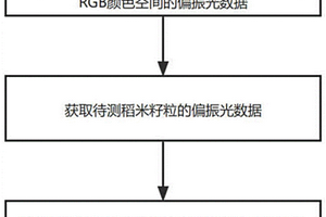 基于偏振光技術(shù)的稻米籽粒新陳度無損定量檢測方法及其系統(tǒng)