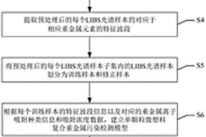 基于LIBS的單顆粒微塑料復(fù)合重金屬污染的無(wú)損檢測(cè)方法