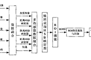 高溫連鑄坯表面缺陷形態(tài)及深度在線無損檢測方法