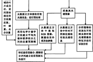 植物幼苗綜合性狀活體無損檢測方法