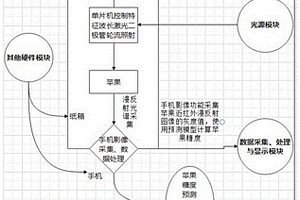 蘋果糖度無損檢測(cè)裝置及其方法