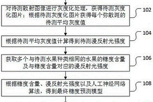 水果糖度無損檢測(cè)方法、裝置、計(jì)算機(jī)設(shè)備和存儲(chǔ)介質(zhì)