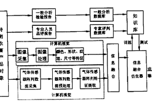 基于電子視覺(jué)和嗅覺(jué)融合技術(shù)的農(nóng)畜產(chǎn)品無(wú)損檢測(cè)方法及其裝置