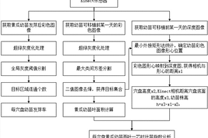 基于顏色和深度信息的穴盤(pán)苗長(zhǎng)勢(shì)無(wú)損監(jiān)測(cè)方法和裝置