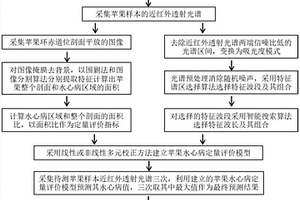 蘋(píng)果水心病的透射光譜無(wú)損定量評(píng)價(jià)方法