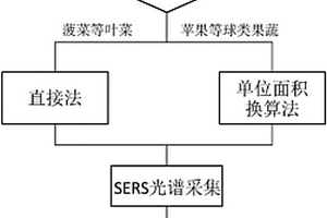 果蔬農(nóng)藥殘留的無(wú)損檢測(cè)方法