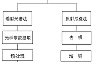 基于太赫茲光譜技術(shù)的油料作物品質(zhì)的快速無(wú)損檢測(cè)方法