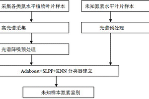 植物葉片氮素豐缺快速無(wú)損高準(zhǔn)確率的鑒別方法