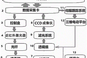 用于活性氧檢測的熒光共振差動比率探針的合成方法及檢測裝置和檢測方法