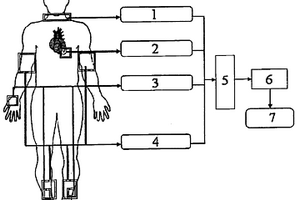 檢測心血管系統(tǒng)功能狀態(tài)的方法和裝置