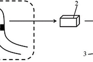 體內(nèi)血小板即時(shí)無(wú)標(biāo)記檢測(cè)系統(tǒng)及檢測(cè)方法