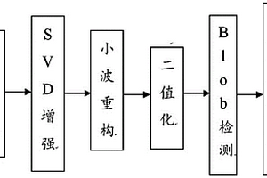 多策略糧蟲視覺檢測方法