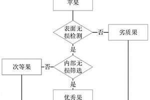 基于機(jī)器學(xué)習(xí)的蘋果無損檢測方法