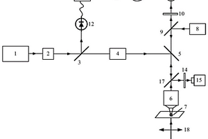 基于線激光操控的細(xì)胞粘彈性檢測(cè)系統(tǒng)及方法