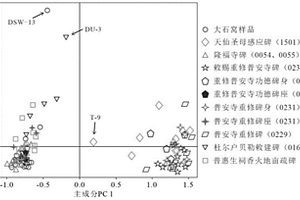 原位、無(wú)損檢測(cè)石質(zhì)文物石材來(lái)源的方法