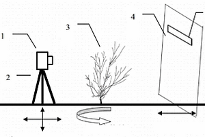 基于數(shù)碼圖像技術(shù)獲取灌木分枝長度的方法