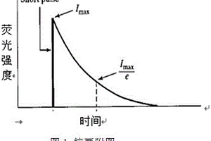 植物油的判別方法