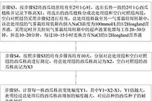 篩選耐鹽西瓜品種的方法