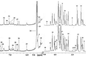 基于NMR代謝組學技術解析懷山藥營養(yǎng)成分分布的方法