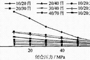 低滲透氣井CO2重復(fù)壓裂工藝技術(shù)