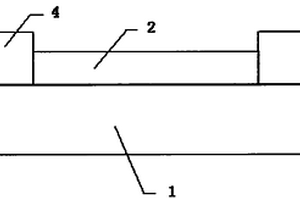 肼的傳感防護(hù)系統(tǒng)