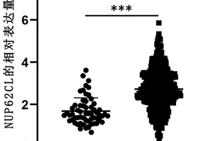 NUP62CL基因及其表達產(chǎn)物在肺腺癌診斷和治療中的應(yīng)用