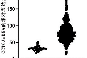 CCT6A基因及其表達產(chǎn)物在腸癌診斷和治療中的應(yīng)用
