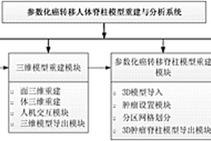 參數(shù)化癌轉(zhuǎn)移人體脊柱模型重建與分析系統(tǒng)