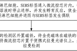 淋巴細胞輻射受損SERS檢測方法