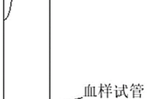 基于體檢采血的免貼標簽的血樣試管及其使用方法