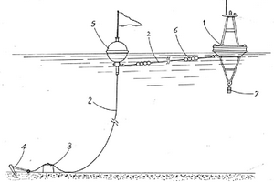 抗強海流主輔雙浮標錨定系統(tǒng)