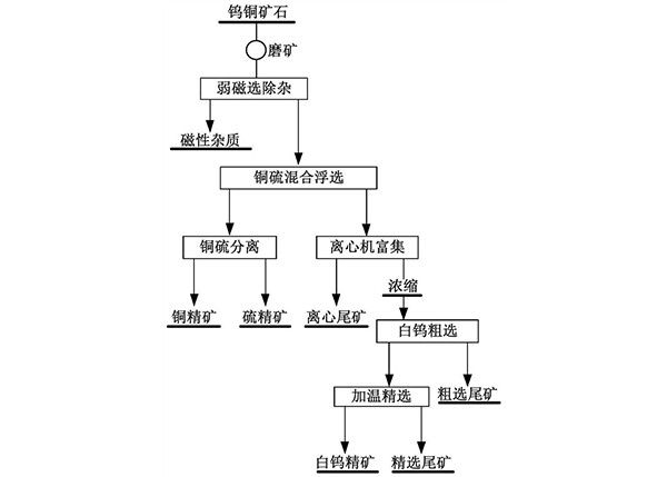 從鎢銅硫礦石中綜合回收黃銅礦、白鎢礦和硫鐵礦的選礦方法