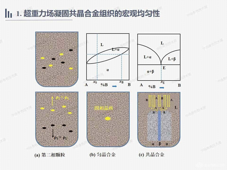 共晶合金的超重力場(chǎng)凝固細(xì)化機(jī)理