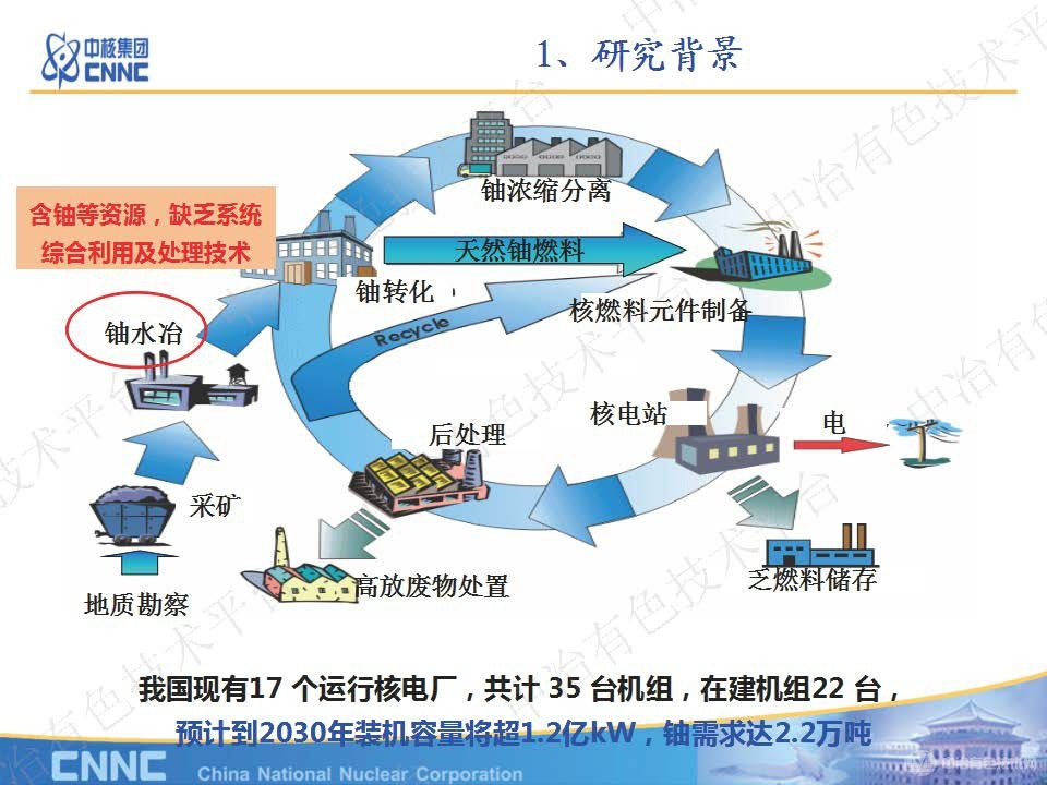 放射性固廢中鈾等有價(jià)組分綜合回收技術(shù)研究