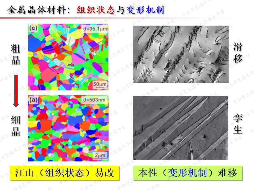 金屬玻璃：從成分預測力學性能探索