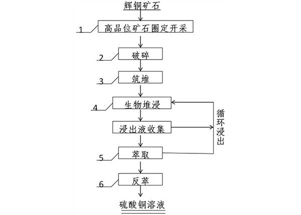 強(qiáng)化提取高品位輝銅礦中銅的方法