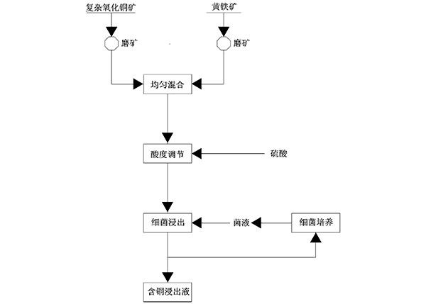 含多種銅礦物的復雜氧化銅礦的細菌浸出方法