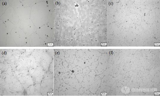 鑄態(tài)Mg-5Li-3Al-2Zn-xNd合金固溶處理后(380℃，2h)的顯微組織照片